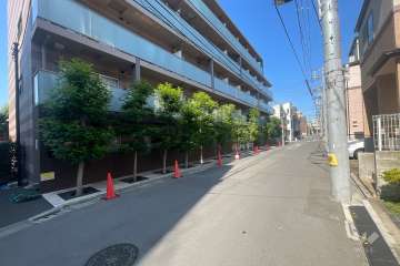 敷地南側の前面道路（西側から）