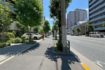敷地南西側の前面道路（北西側から）