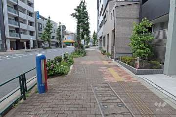 敷地の南西側前面道路は旧岩槻街道です（南東側から）。