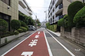 敷地南東側の前面道路(北東側から)