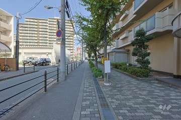 敷地西側の前面道路