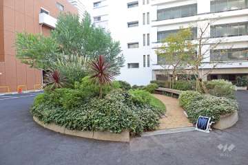 敷地内の植え込み