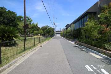 敷地北側の前面道路（東側から）