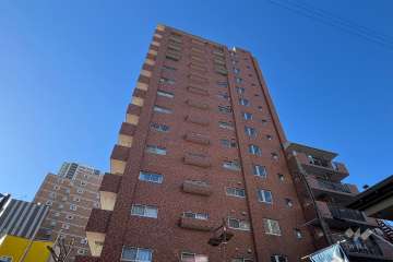 ルックハイツ金町の外観(東側から)