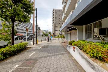 敷地の西側前面道路（南側から）
