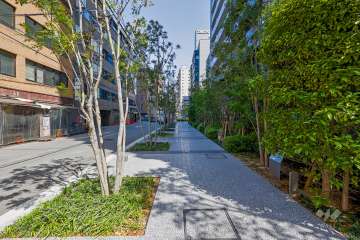 敷地西側の前面道路（南側から）