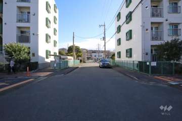 敷地西側の前面道路（北側から）