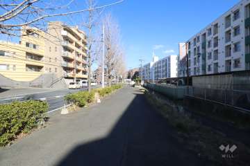 敷地北側の前面道路（西側から）