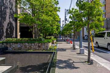 敷地南西側の前面道路（北西側から）