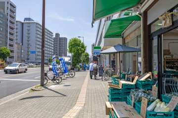 敷地東側の前面道路（北側から）