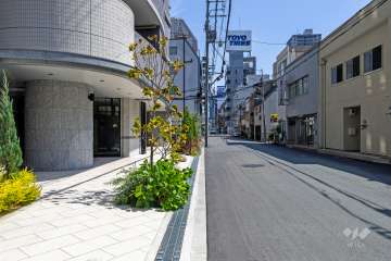 敷地西側の前面道路（北側から）