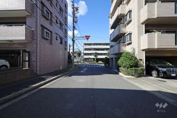 敷地西側の前面道路（南側から）