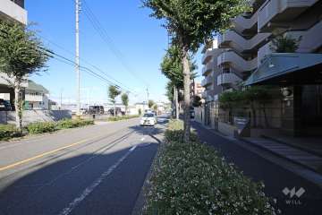 敷地北側の前面道路（西側から）