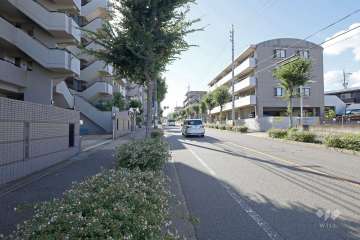 敷地北側の前面道路（東側から）