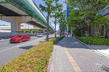 敷地北側前面道路は中央大通りです（西側から）