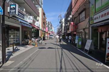 敷地南側の前面道路（西側から）