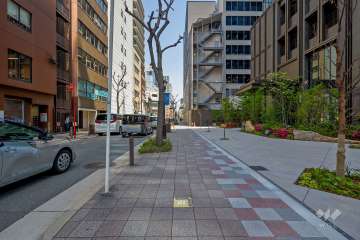 敷地西側の前面道路（南側から）