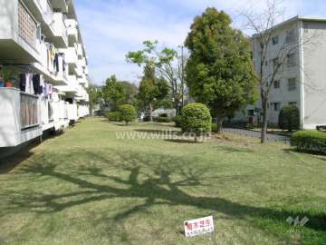 南側の芝生の庭