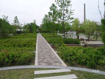 ノースフィールドとサウスフィールドの間にある公園