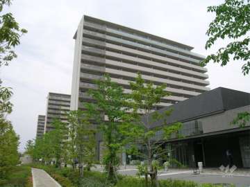 手前がサウスフィールド、奥がノースフィールドです。