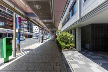 敷地の西側前面道路（南側から）
