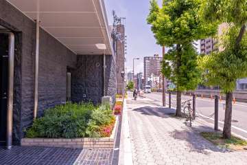 敷地東側の前面道路（南側から）