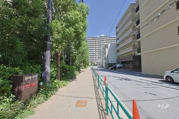 敷地の東側前面道路（南側から）