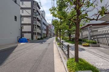 敷地南側の前面道路（東側から）