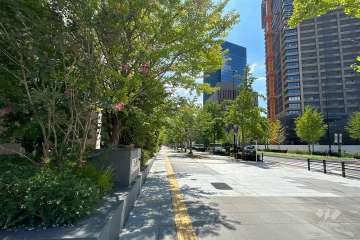 敷地西側の前面道路（北側から）