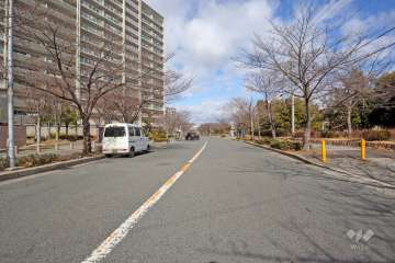 敷地東側の前面道路（南東側から）