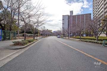 敷地東側の前面道路（北西側から）