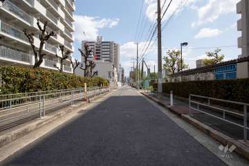 敷地北側の前面道路（西側から）