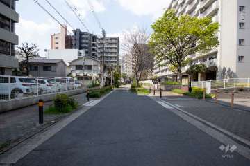 敷地南側の前面道路（東側から）