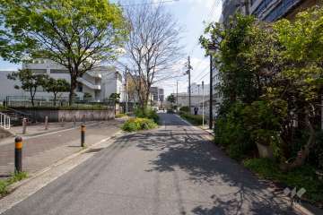 敷地南側の前面道路（西側から）