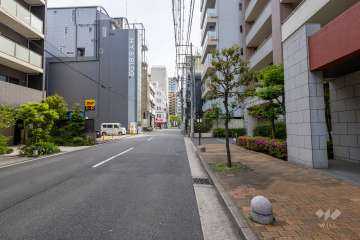敷地東側の前面道路（北側から）