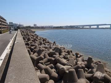 敷地のすぐ南側には海が広がっています。