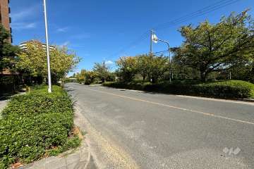 敷地東側の前面道路