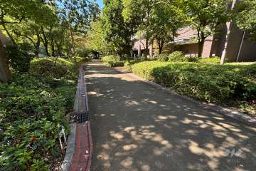 敷地南側の前面道路