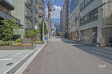 敷地の南側前面道路（西側から）