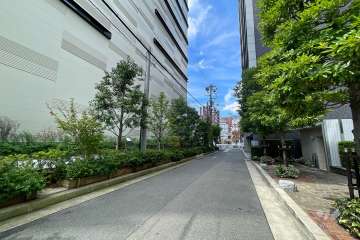 敷地南側からの前面道路（東側から）