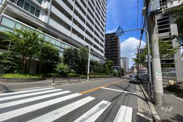 敷地東側からの前面道路（南側から）
