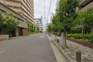 敷地の西側前面道路（南側から）