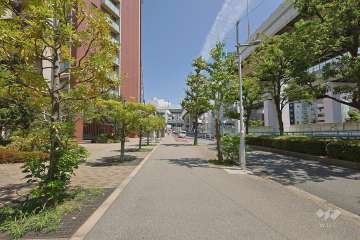 敷地南側の前面道路