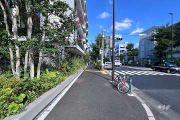敷地の北東側前面道路（南東側から）