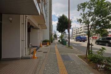 敷地西側の前面道路（北側から）