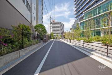 敷地南西側の前面道路（南側から）