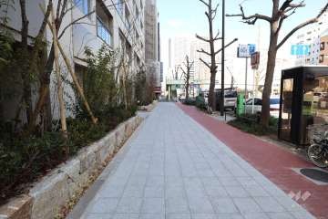 敷地東側の前面道路（なにわ筋）