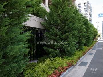 敷地東側に植栽スペースが設けられています。