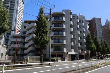 クリオ川崎弐番館の外観(西側から)