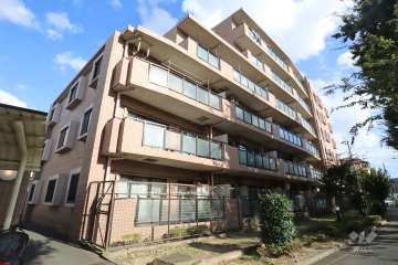 ナイスアーバン新川崎ステイツの外観(北西側から)